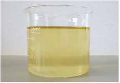 1xBET��Signup(�й���)-�ٷ���վ